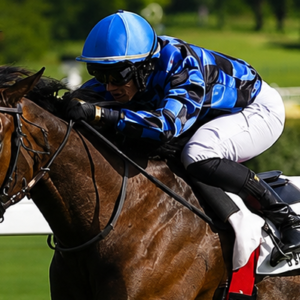 Jockey portant une casaque de course en satin bleu et noir sur cheval de course au galop pendant une compétition hippique.