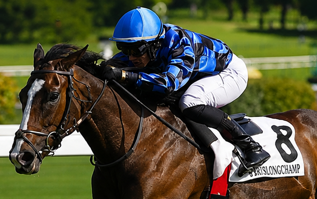 Jockey portant une casaque de course en satin bleu et noir sur cheval de course au galop pendant une compétition hippique.